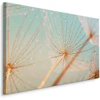 Karo-art Schilderij - Waterdruppels op paardenbloem, multi-gekleurd, 4 maten, wanddecoratie