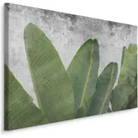 Karo-art Schilderij - Tropische bladeren op betonnen achtergrond, groen/grijs, 4 maten, premium print