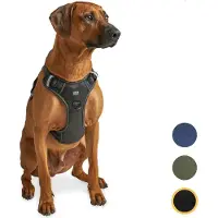 Jake and Jacky Jake & Jacky Hondentuig – Anti-Trek Y-tuig met Reflecterende Naden – Maat L – Zwart