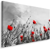 Karo-art Schilderij - Rode klaprozen, zwart-wit veld, premium print