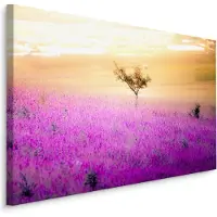 Karo-art Schilderij - Eenzame Boom in een Lavendel Veld, Premium Print