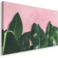 Karo-art Schilderij - Bananenblad op roze achtergrond, 4 maten, premium print