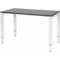 Schaffenburg Verstelbaar Bureau - Domino 120x60 logan - wit frame