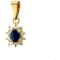 The Jewelry Collection Geelgouden Hanger saffier en zirkonia halo 4002257