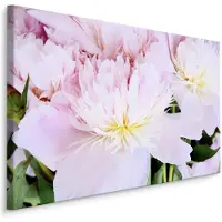Karo-art Schilderij - Roos in het roze, eyecatcher voor aan de wand, premium print