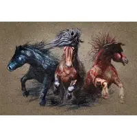 Karo-art Fotobehang Drie Rennende Paarden - Vliesbehang - 416 x 254 cm