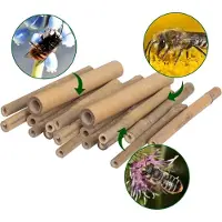 Markenlos Bamboeholtes voor insectenhotel – 150 stuks – Nistbuizen voor wilde bijen. Accessoires voor insectenhotel, bijenhotel, wildbijenhuis | Bamboeholtes, bamboestokjes