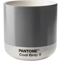 Pantone Thermosbeker Design Pantone Cortado Cool Gray 170 ml