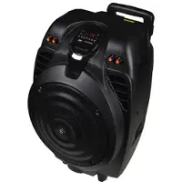Sunstech MASSIVE-S10 50W Zwart luidspreker