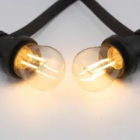 LumenXL Prikkabel set met LED lampen met dubbele filament