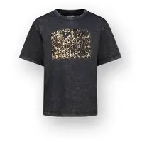 Vingino T-shirt Hannemiek Meisje Grijs 140