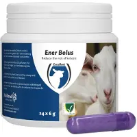 Excellent Ener Bolus Schaap & Geit