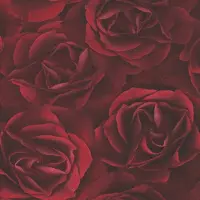 Rasch ROOD ROZEN BEHANG 3D VLIES