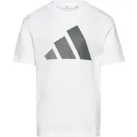 Adidas Functioneel shirt 'Essentials' grijs / wit