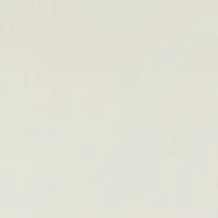 Papicolor Kopieerpapier A4 100gr 12 vel anjerwit - 4 stuks