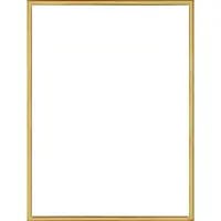 Homedecoration Almelo – Fotolijst – Fotomaat – 42 x 49 cm – Vintage Goud