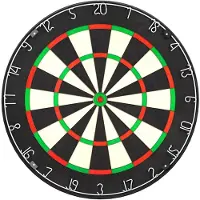 Lena Professional Dartbord