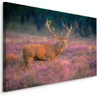 Karo-art Schilderij - Hert op de Heide, Premium Print, 5 maten
