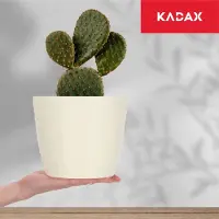 Kadax Bloempot van kunststof, diameter 11-19 cm, 7 kleuren, eenvoudige plantenpot, moderne plantenbak, robuuste bloempotbescherming, ronde pot, diameter 17 cm, ecru