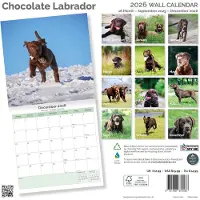 Baker & Bray Labrador Retriever Bruin Kalender 2027
