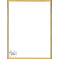 Homedecoration Almelo – Fotolijst – Fotomaat – 24 x 91 cm – Vintage Goud
