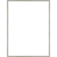 Homedecoration Almelo – Fotolijst – Fotomaat – 35 x 49 cm – Chroom