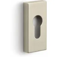 Formani | Cilinderrozet | BASICS | LSQBY32 | PVD Champagne