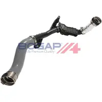 BOGAP R1711186 Laadluchtslang