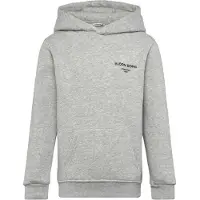 Björn Borg Essential 1 Hoodie Grijs | Maat: 122-128