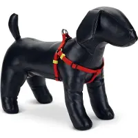 Beeztees Hondentuig Uni Rood 35-60 X 1,5 Cm