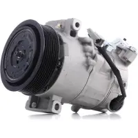 RIDEX 447K0256 Aircopomp