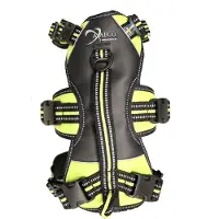 Axaeco Broad Peak Harness Maat M 60-78cm