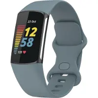 123Watches sport band - leisteen - SM - Geschikt voor Fitbit Charge 5 & 6