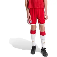 Adidas Sportbroek 'FC Bayern München Home 26/27' camel / rood / wit