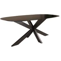 Lizzely Garden & Living Eettafel deens ovaal mangohout 200cm Austin zwart ovale tafel duurzaam mango eetkamertafel