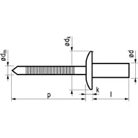 Master Popnagel Rvs/Rvs 1261 Dicht 4,8X16Mm 500