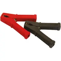 Carpoint Accupooltang 100 AMP 2 stuks