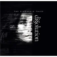 Import Dissolution -Earbook-