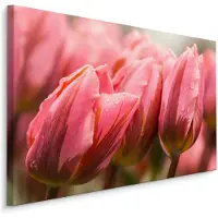 Karo-art Schilderij - Roze tulpen, premium print