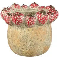 Ptmd pot fruitsy - 23.5x23.5x20cm