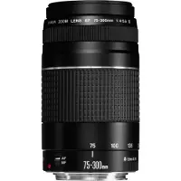 Canon EF 75-300mm f/4.0-5.6