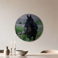 KitchenArt - Pasture Light - Muurcirkel Binnen - ø 60 cm - Wandcirkel - Mét Ophangsysteem - Wanddecoratie - Muurdecoratie