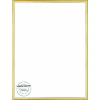 Homedecoration Almelo – Fotolijst – Fotomaat – 44 x 91 cm – Goud Glans