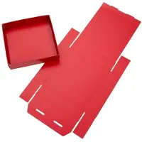 Packlinq Rode Kraftdoosjes Bodem 10,5x2,5x10,8cm (25 stuks)