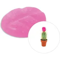 Scentchips Cactusbloem - Geurblokjes - Huisparfum - Geurchips - Waxmelts - Geschikt voor Geurbrander en Waxbrander - XL - 38 Stuks