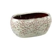 Ptmd pot avis - 28x17.5x13.5cm