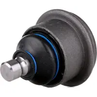 RIDEX 2462S0425 Fuseekogel