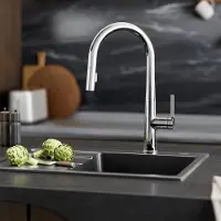 CECIPA MAX Keukenkraan met Uittrekbare Uitloop - Chroom - 2 Straalstanden - 40 cm Uittrekbereik - Handdouche met Slang - 360° draaibare