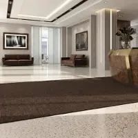 Floordirekt Vuilvangmat Hong Kong - Veelzijdig Inzetbaar - Antislip - Bruin - 80 x 300 cm - Stevig & Onderhoudsvriendelijk voor Binnen & Entree