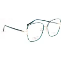Ana Hickmann Optical Frame HI1241 06A 55